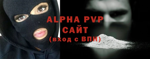 спиды Новодвинск