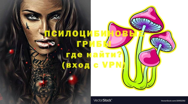 спиды Новодвинск