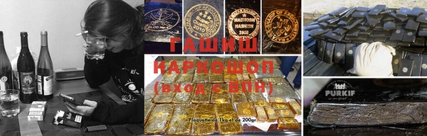 спиды Новодвинск