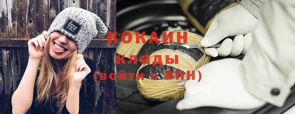спиды Новодвинск